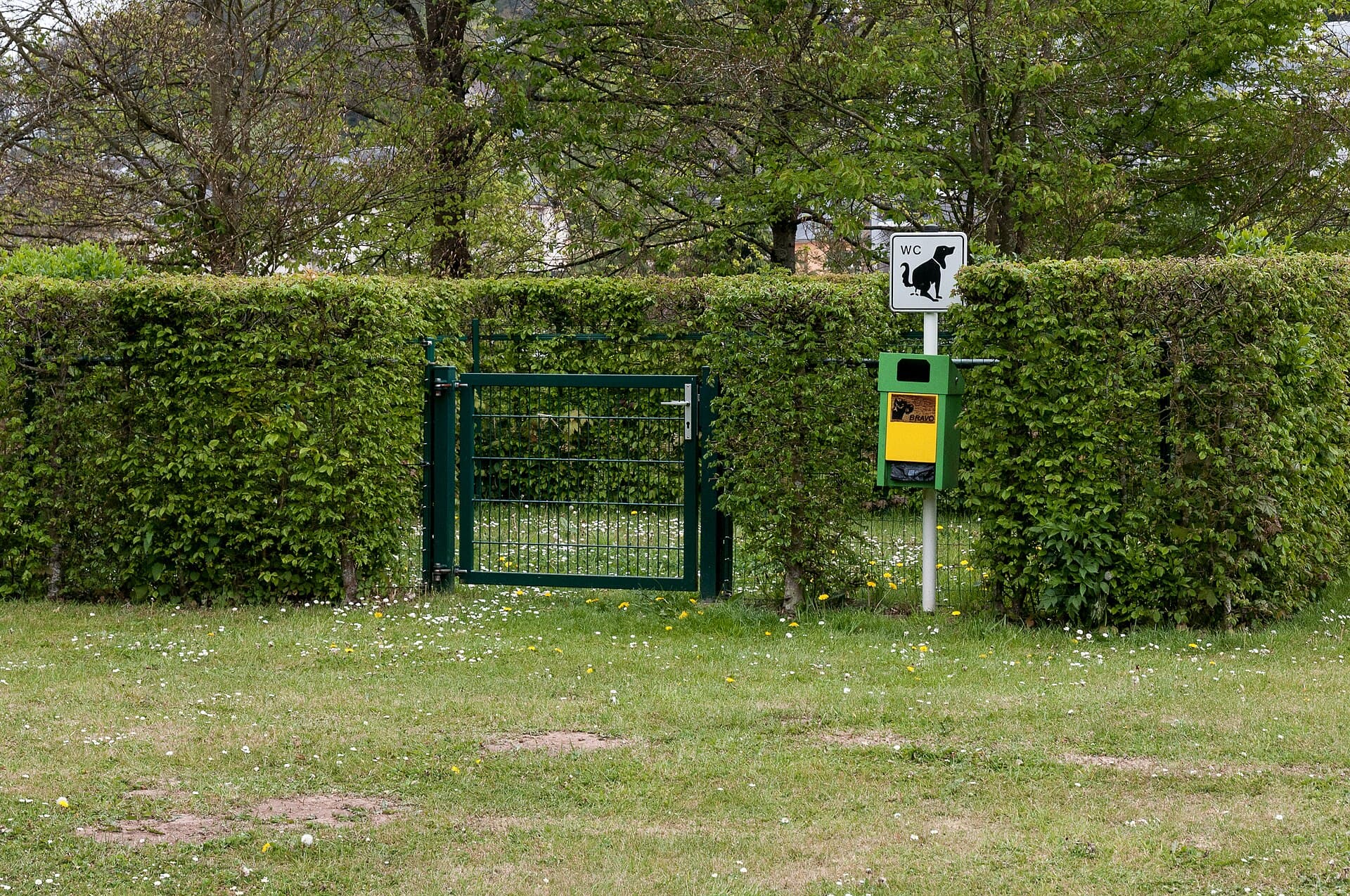 Dog control in Ireland: national Acts, local bye-laws