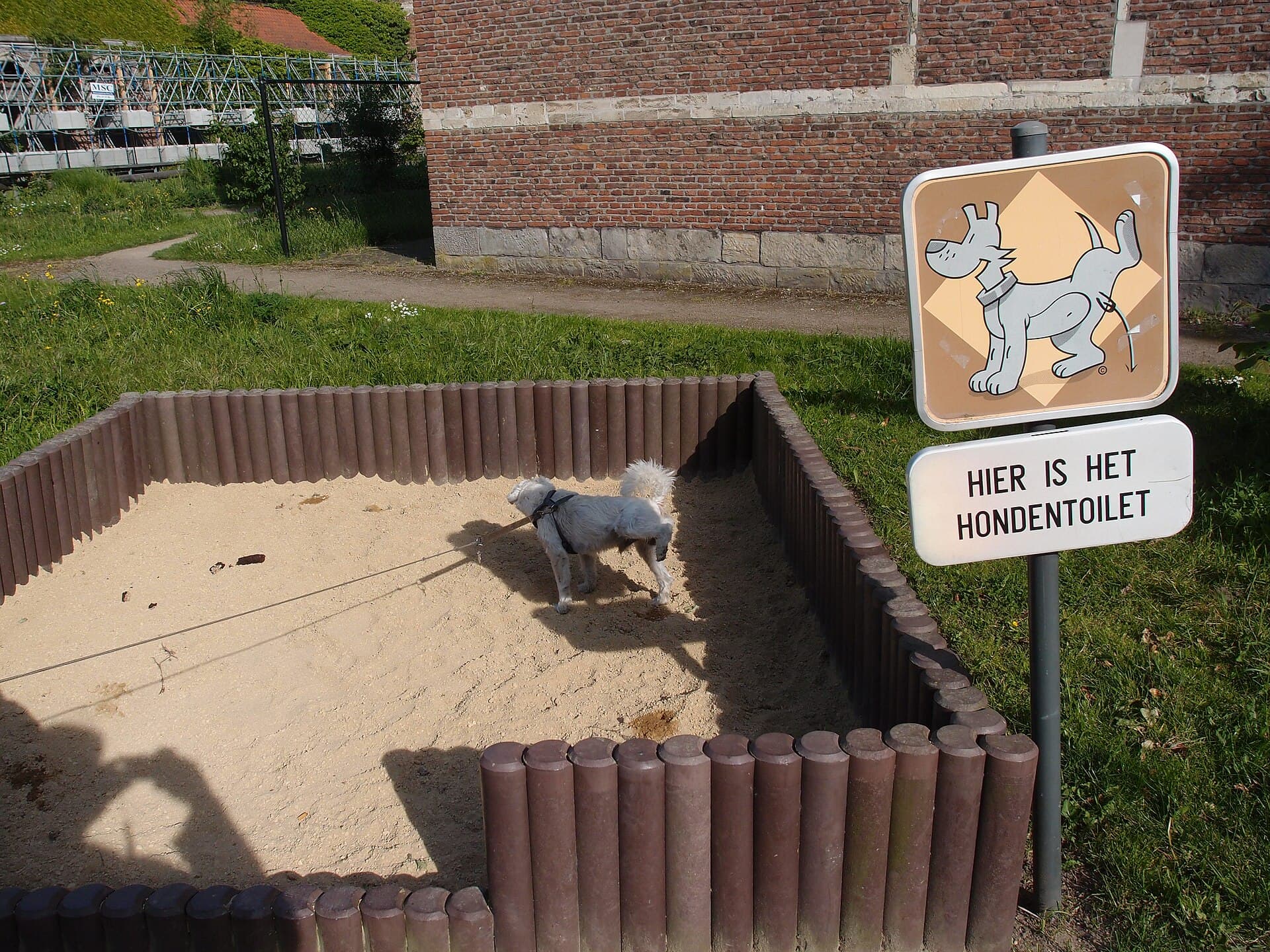 Dublin with a dog: city bye-laws, Phoenix Park, the DART