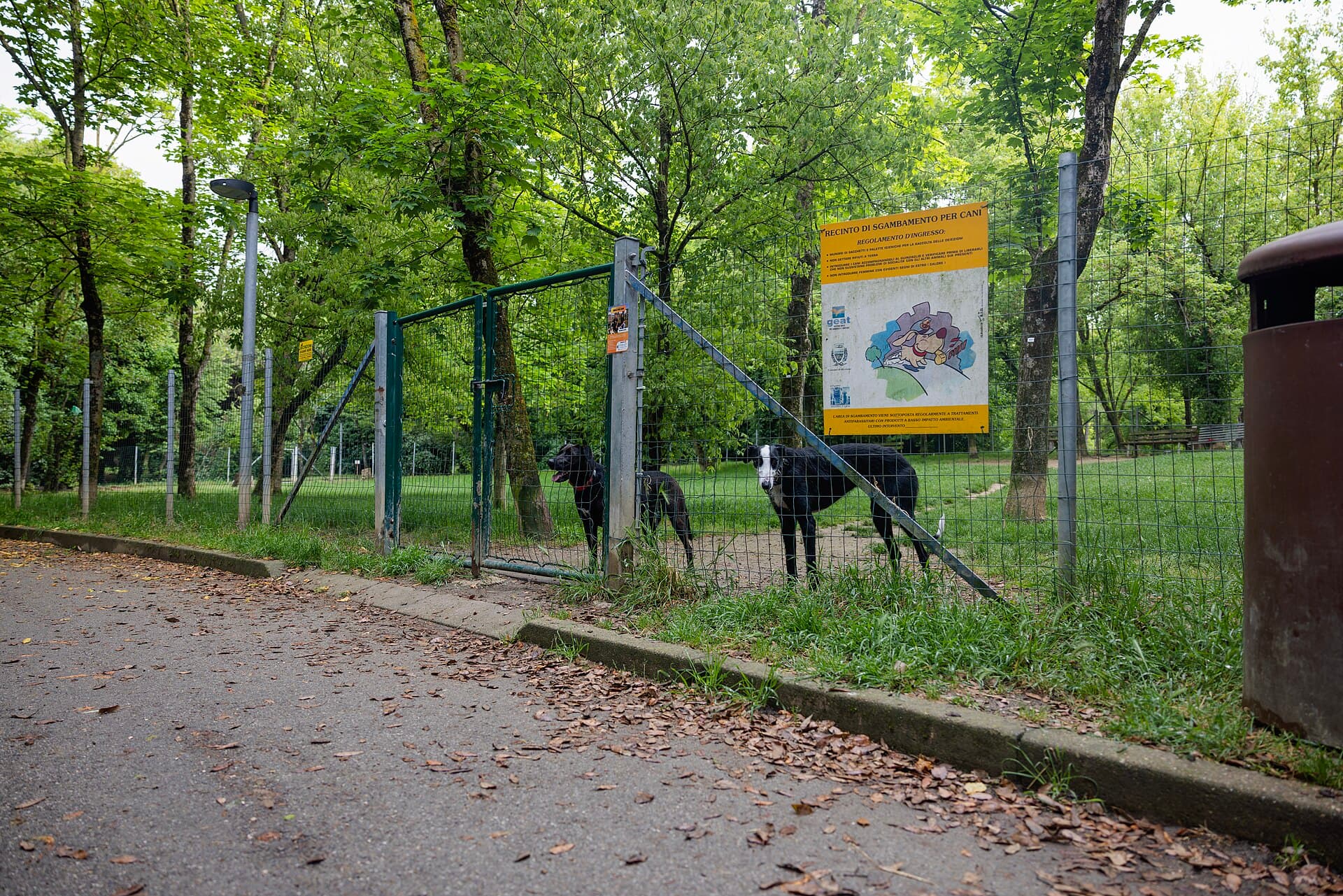Area cani, area sgambamento, area cani libera